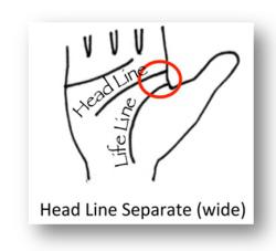 head line separated wide